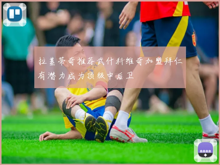 拉基蒂奇推荐武什科维奇加盟拜仁有潜力成为顶级中后卫